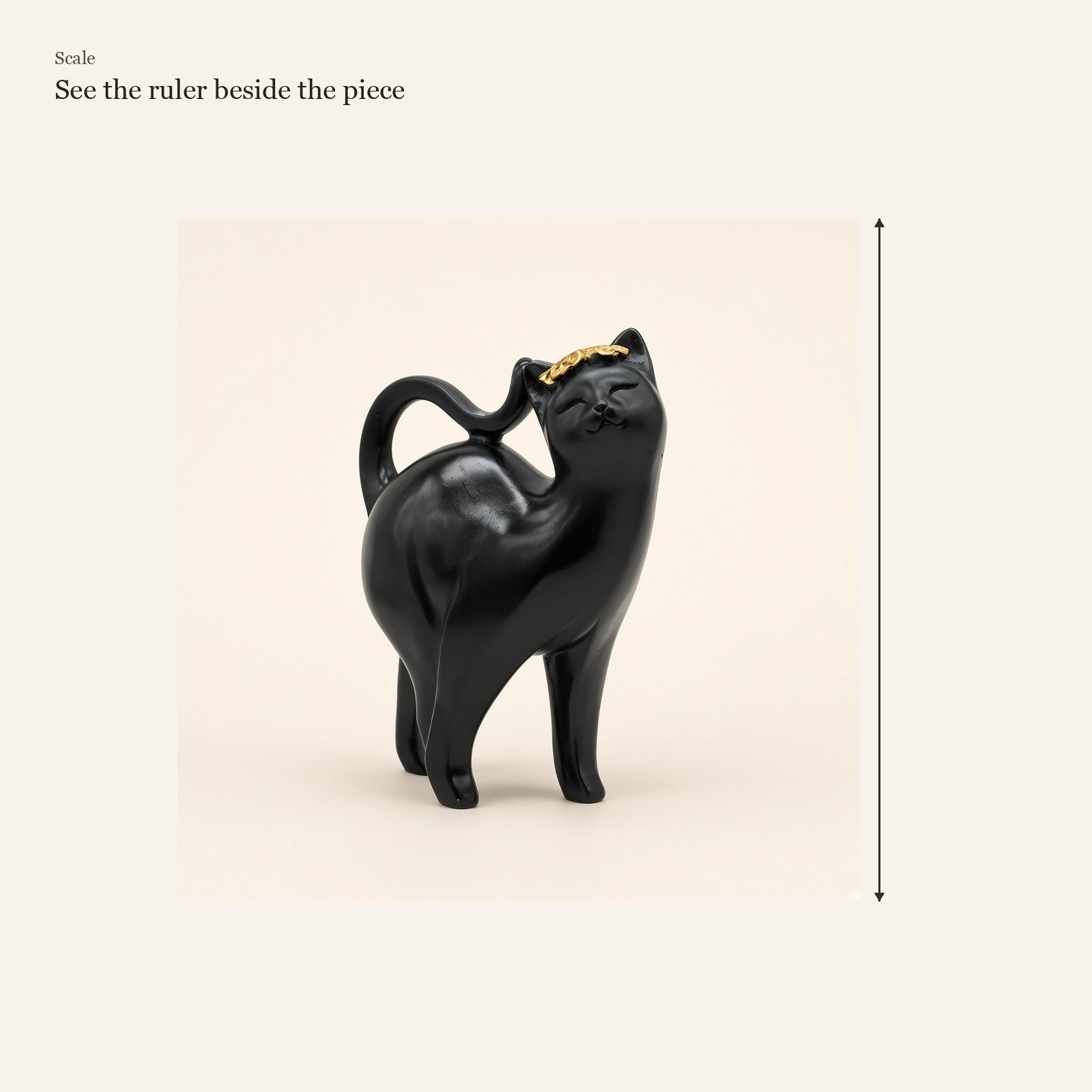Black Cat with Golden Accent